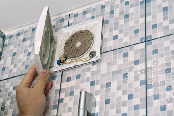 Best Air Duct Sanitizing Services  in Waterford, WI