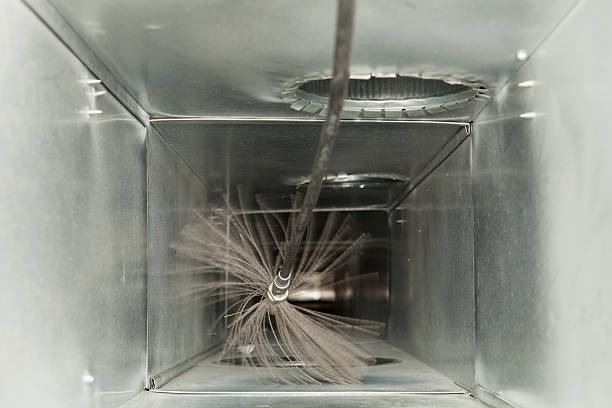 Air Duct Mold Removal in WI